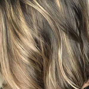 Meet your Posher, Dion